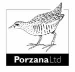 porzana