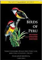 BIrds of Peru